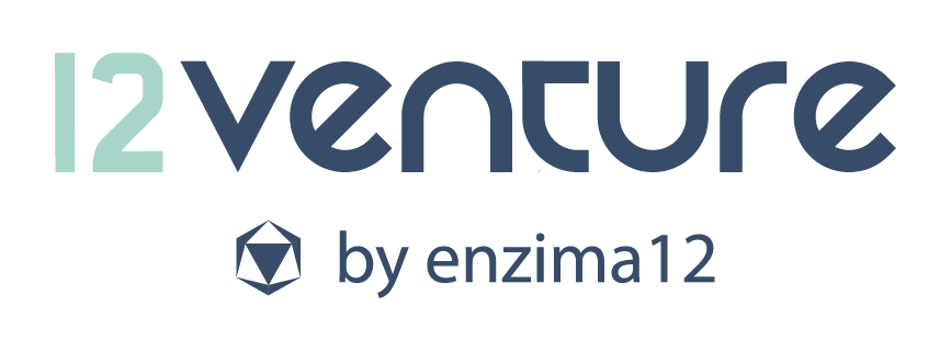 12venture logo